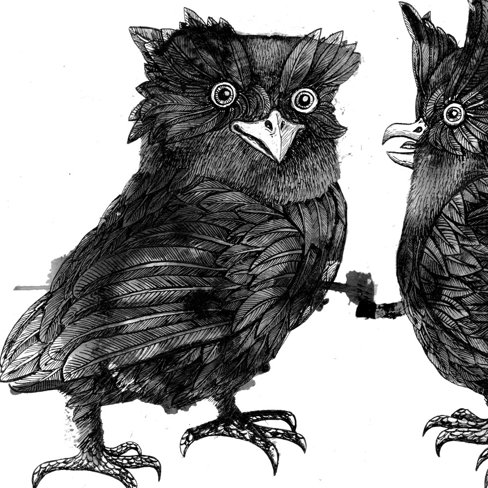 Owls_Ink Illustration_Su Opperman
